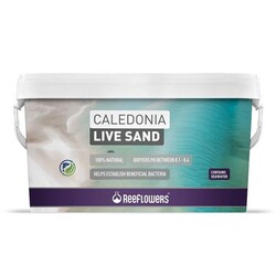 Reeflowers - Reeflowers Caledonia Live Sand Gold 18Kg